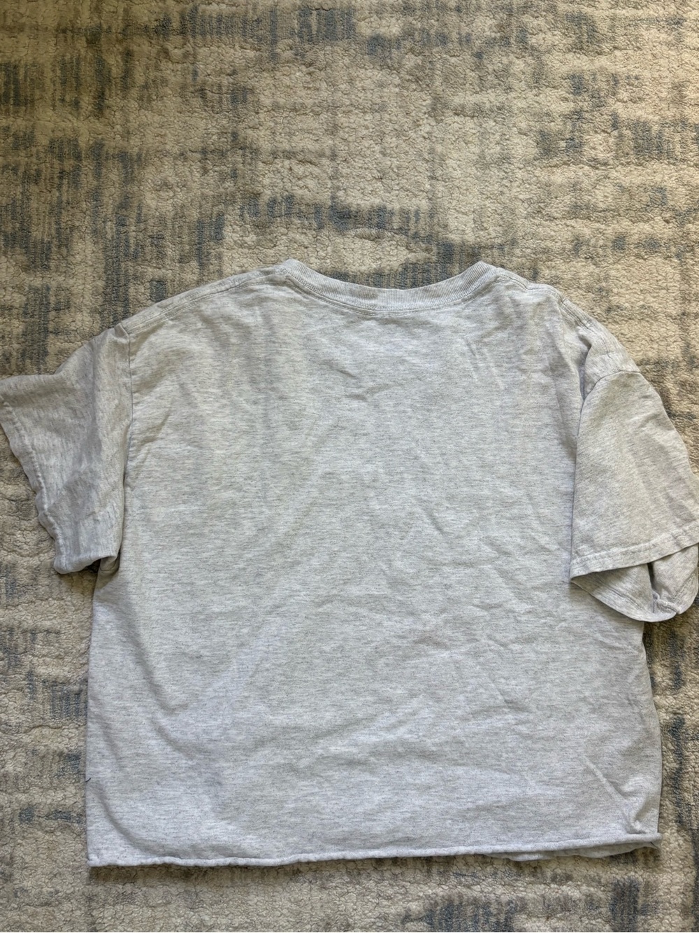 Brandy Melville Gray 'Colorado' Short Sleeve Tee - Picture 2 of 2
